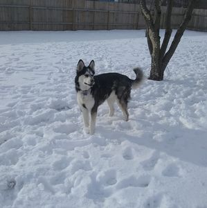 Meet your Posher, Jon n tere